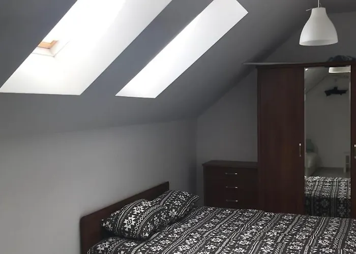 Center * 布尔加斯